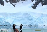 Iceberg Antarctica