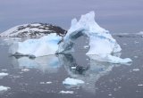 Iceberg Antarctica