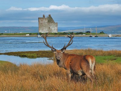 Isle of Arran