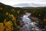 Canadian Arctic