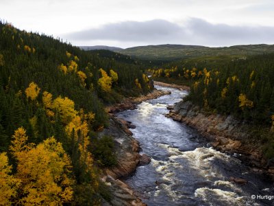 Canadian Arctic