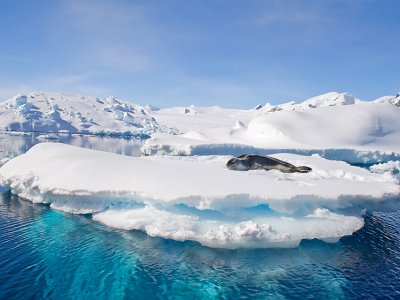 Antarctica