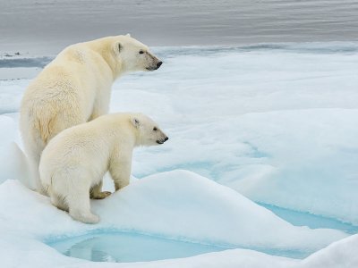 Svalbard