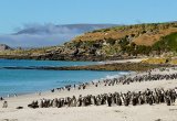 Falkland Islands