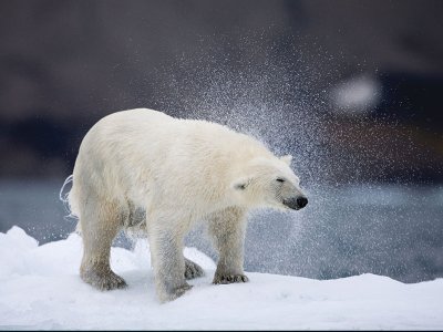 Svalbard