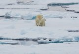 North Spitsbergen