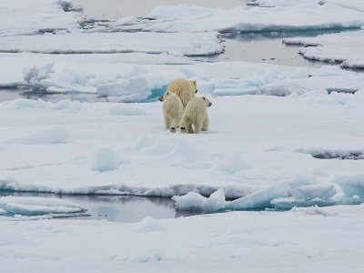 North Spitsbergen