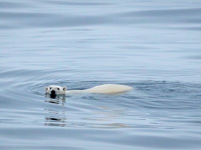 Baffin Island