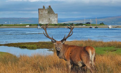 Isle of Arran