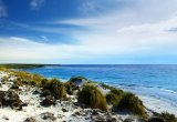 Falkland Islands landscape