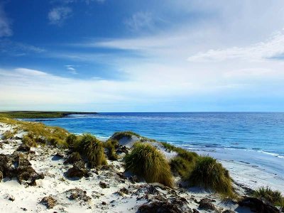 Falkland Islands landscape