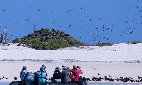 Ashmore Reef, Heritage Expeditions