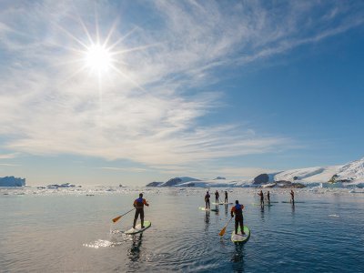 Quark Antarctica