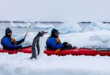 Sea Spirit Poseidon Kayaking