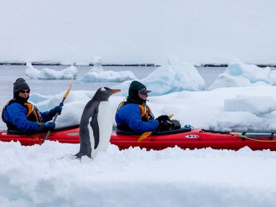 Sea Spirit Poseidon Kayaking