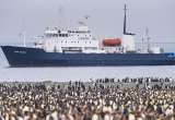 Polar Pioneer South Georgia