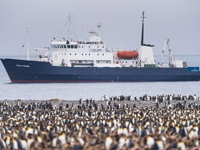 Polar Pioneer South Georgia