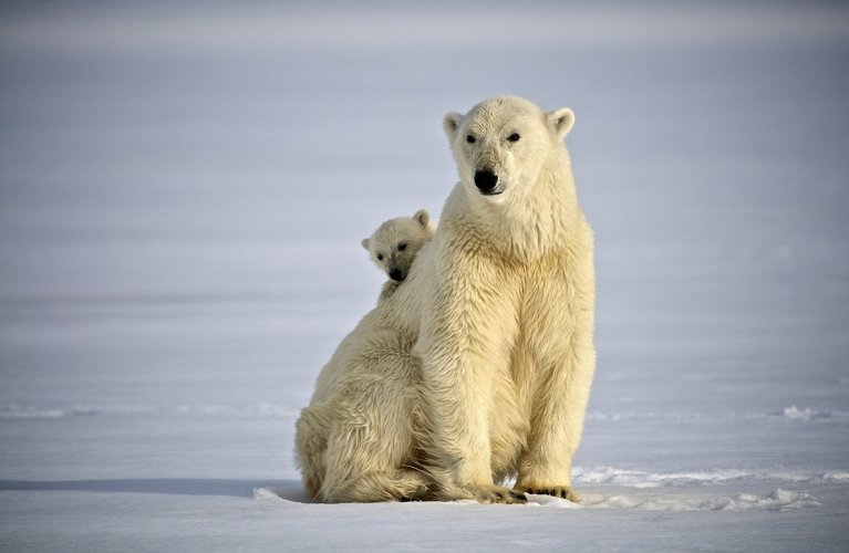 Svalbard