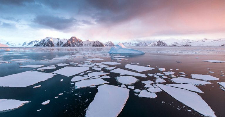 Emblematic Antarctica