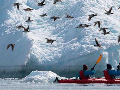 Svalbard