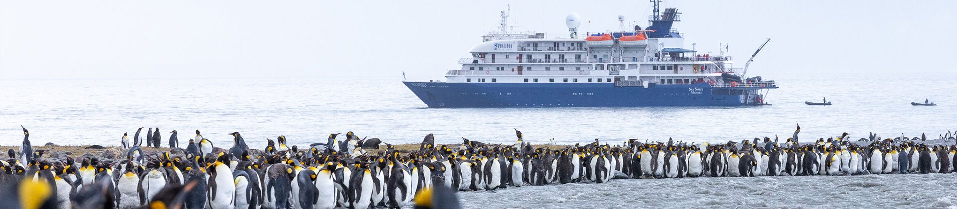 Sea Spirit Poseidon, South Georgia