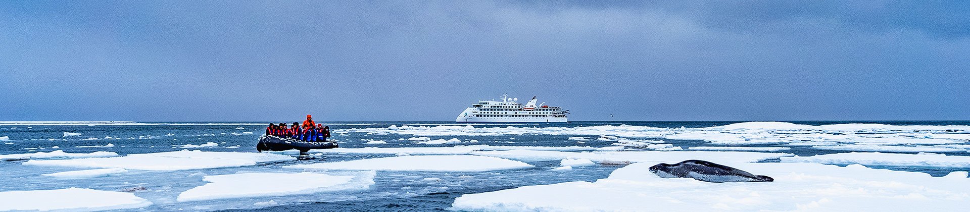 Falklands, South Georgia & Antarctic Peninsula by Aurora