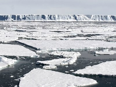 The Weddell Sea