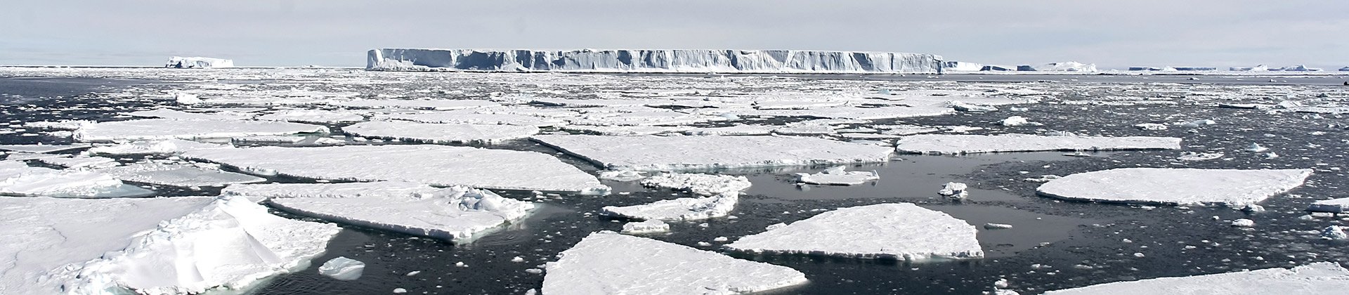 The Weddell Sea