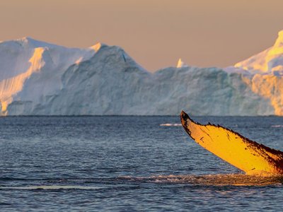 Greenland