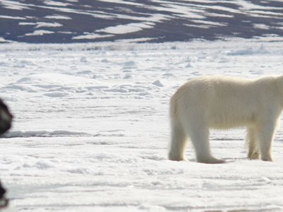 North Spitsbergen