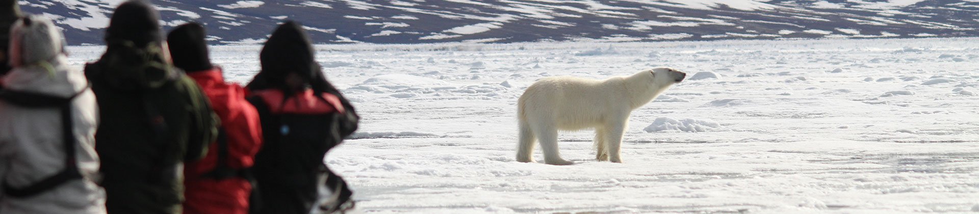 North Spitsbergen