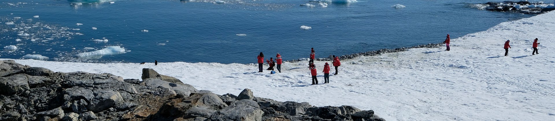 Adventures in Antarctica