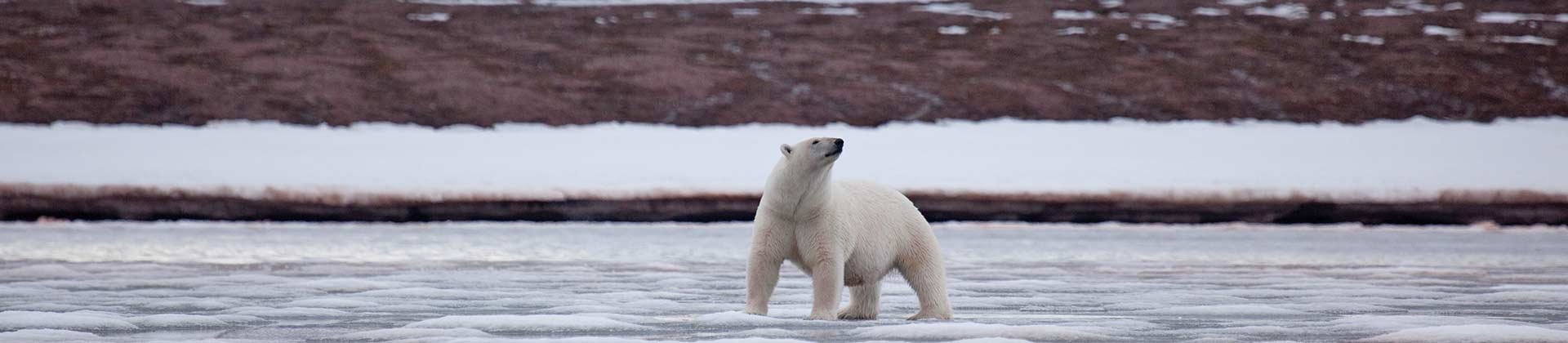 Grand Voyage Arctic