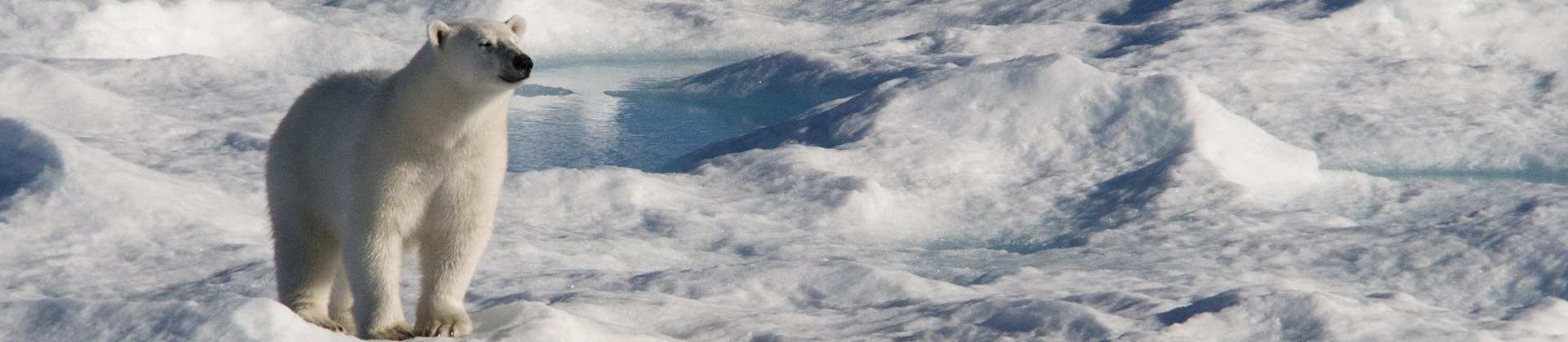 Baffin Island