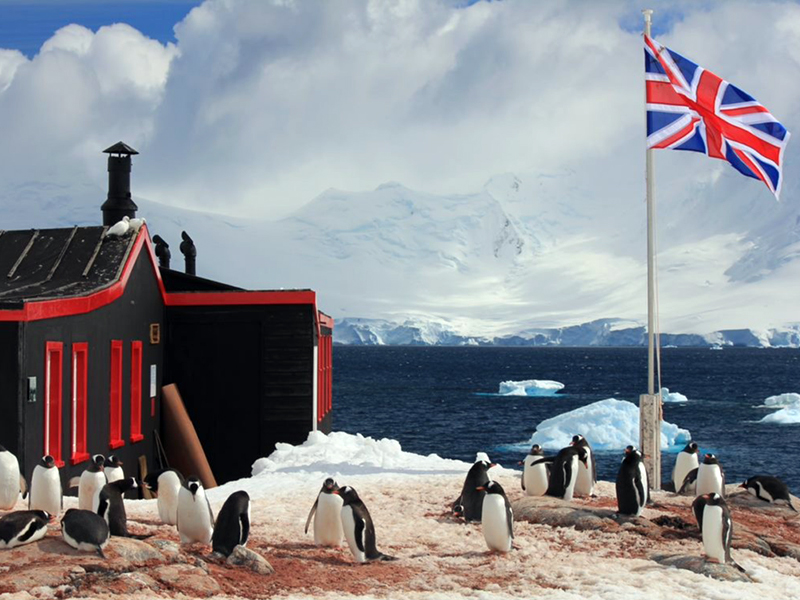 Port Lockroy's Penguins © UKAHT