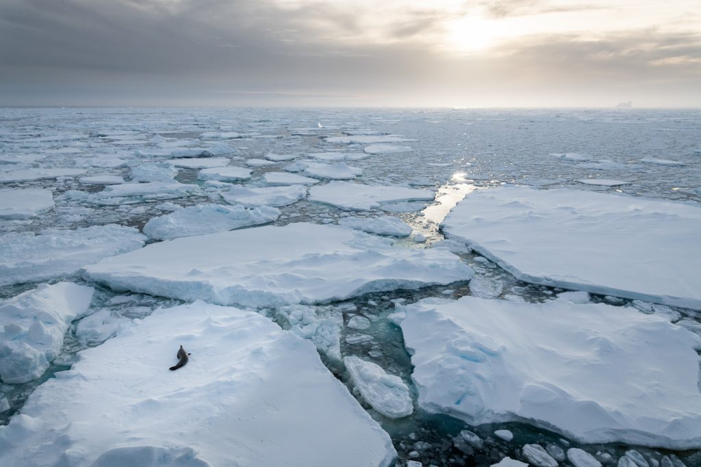 View from Le Charcot whilst cutting through the ice 
© Studio Ponant Morgane Monneret