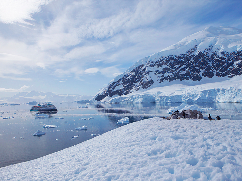 Sylvia meets the local Antarctic penguins