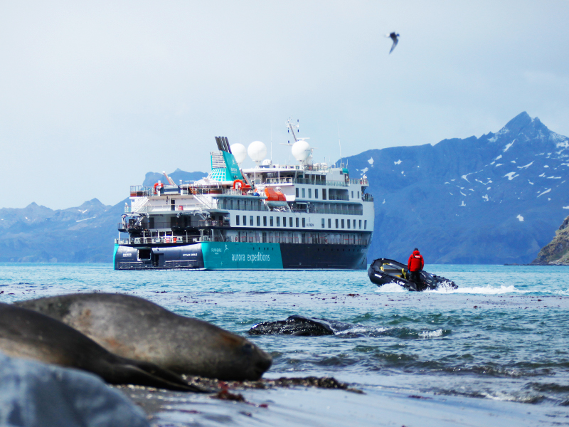 Zodiac heading to the Sylvia Earle 