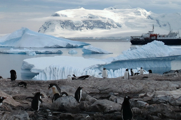 MV Ortelius Solo Antarctic Cruises